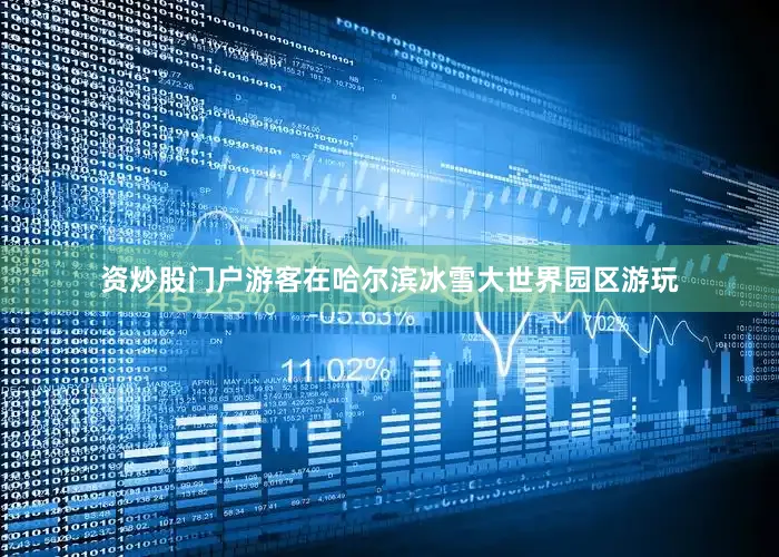 资炒股门户游客在哈尔滨冰雪大世界园区游玩