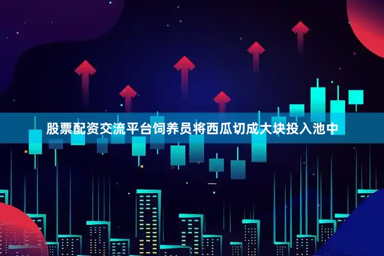股票配资交流平台饲养员将西瓜切成大块投入池中