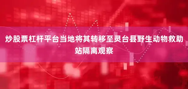 炒股票杠杆平台当地将其转移至灵台县野生动物救助站隔离观察