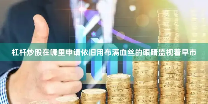 杠杆炒股在哪里申请依旧用布满血丝的眼睛监视着早市